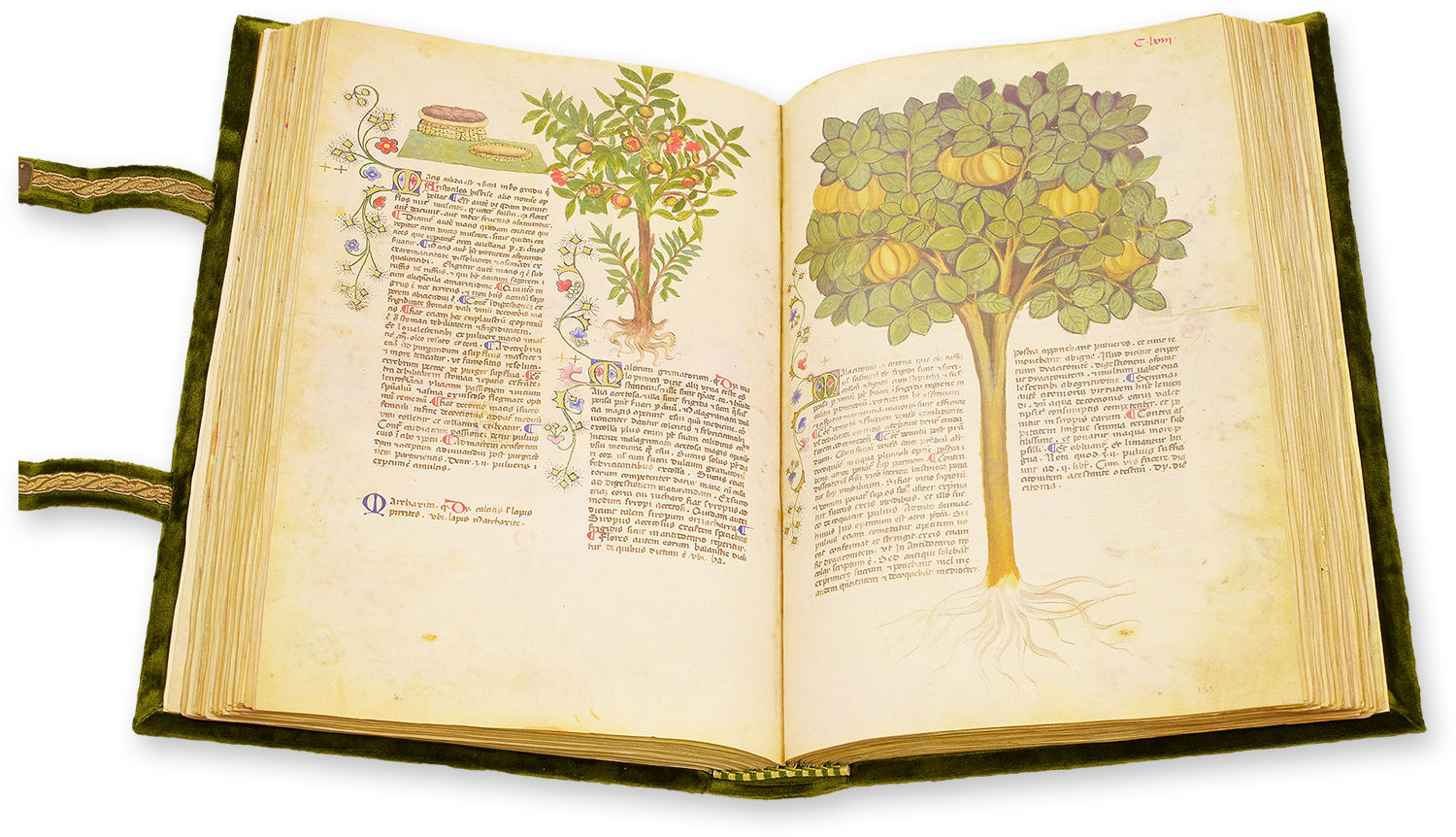 Historia Plantarum Historia Plantarum