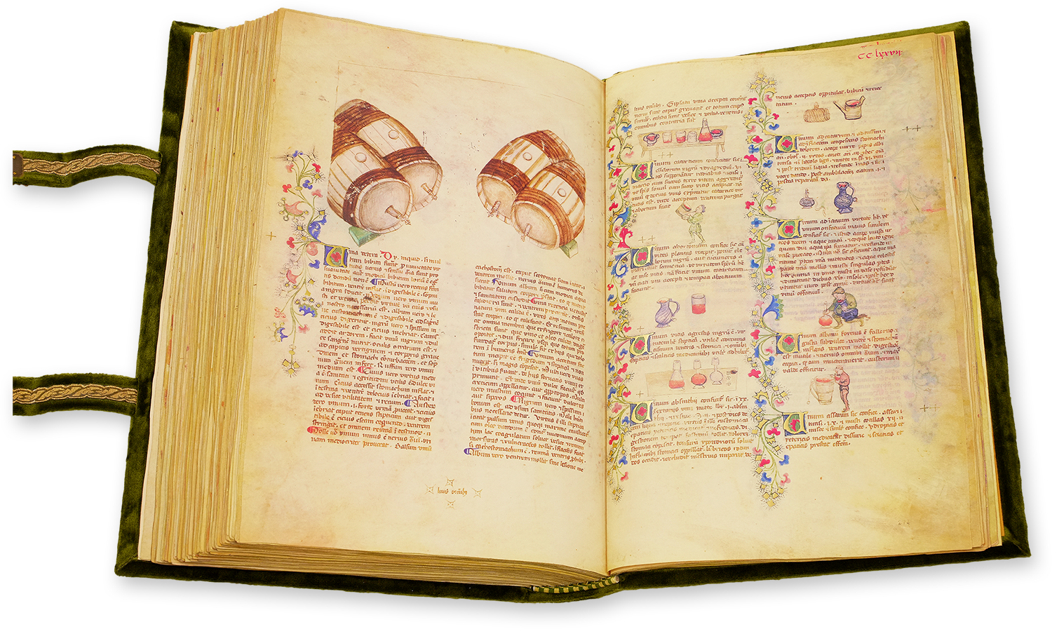 Historia Plantarum Historia Plantarum