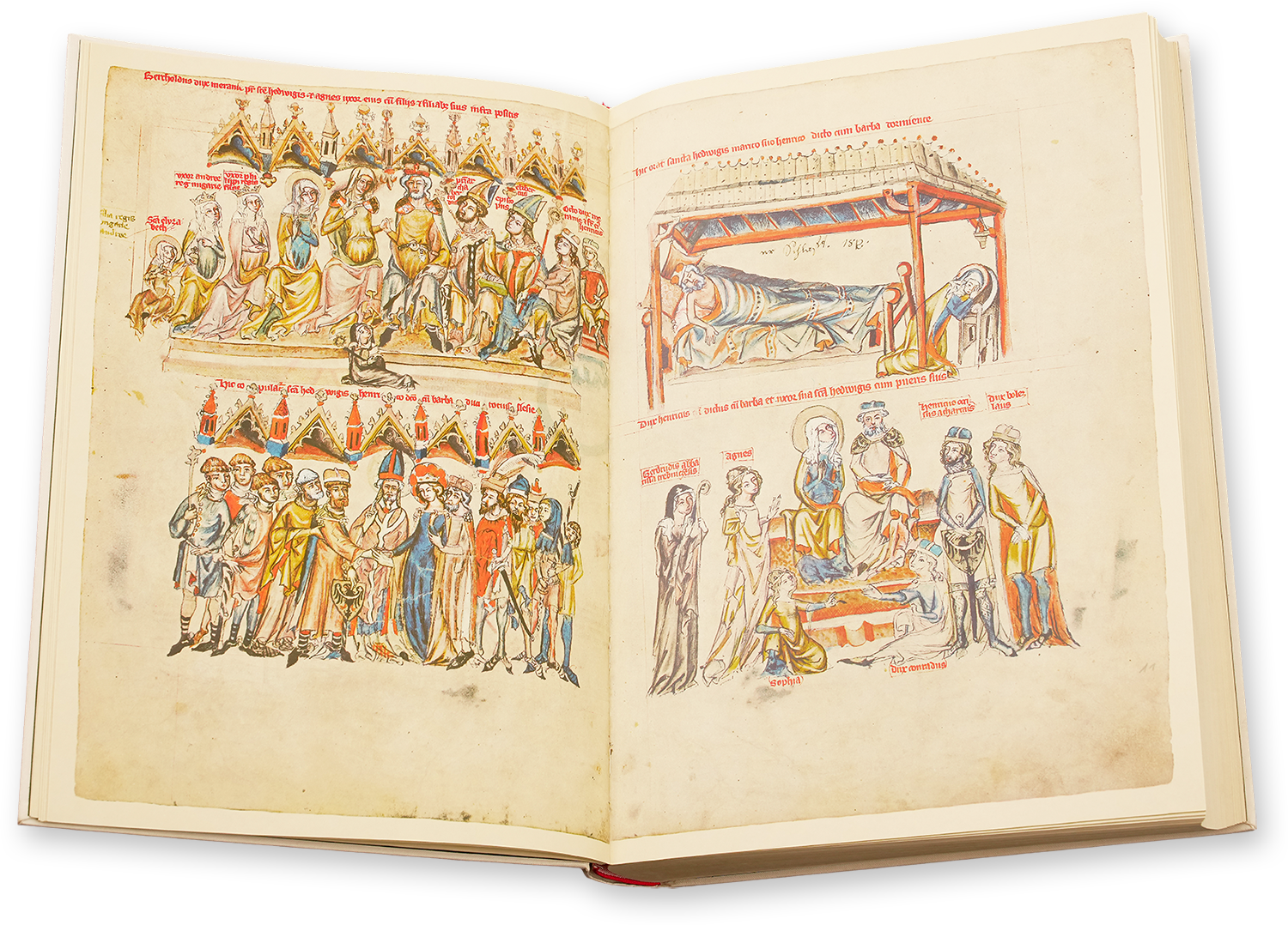 Hedwig Codex Hedwig Codex