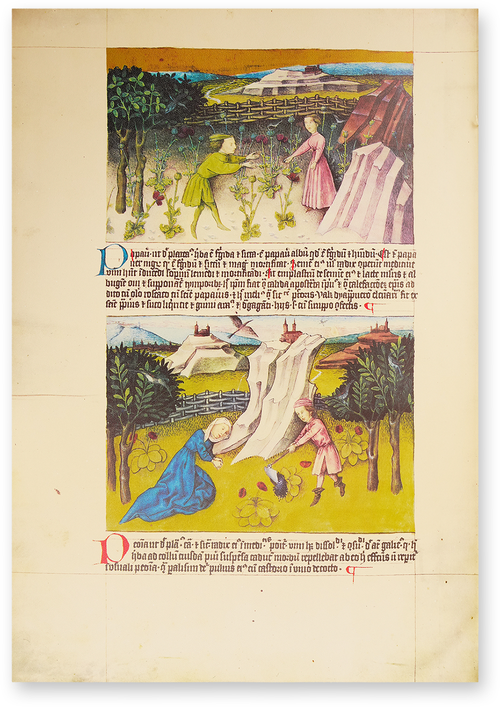 Liber de natura rerum - Codex C-67 Liber de natura rerum - Codex C-67