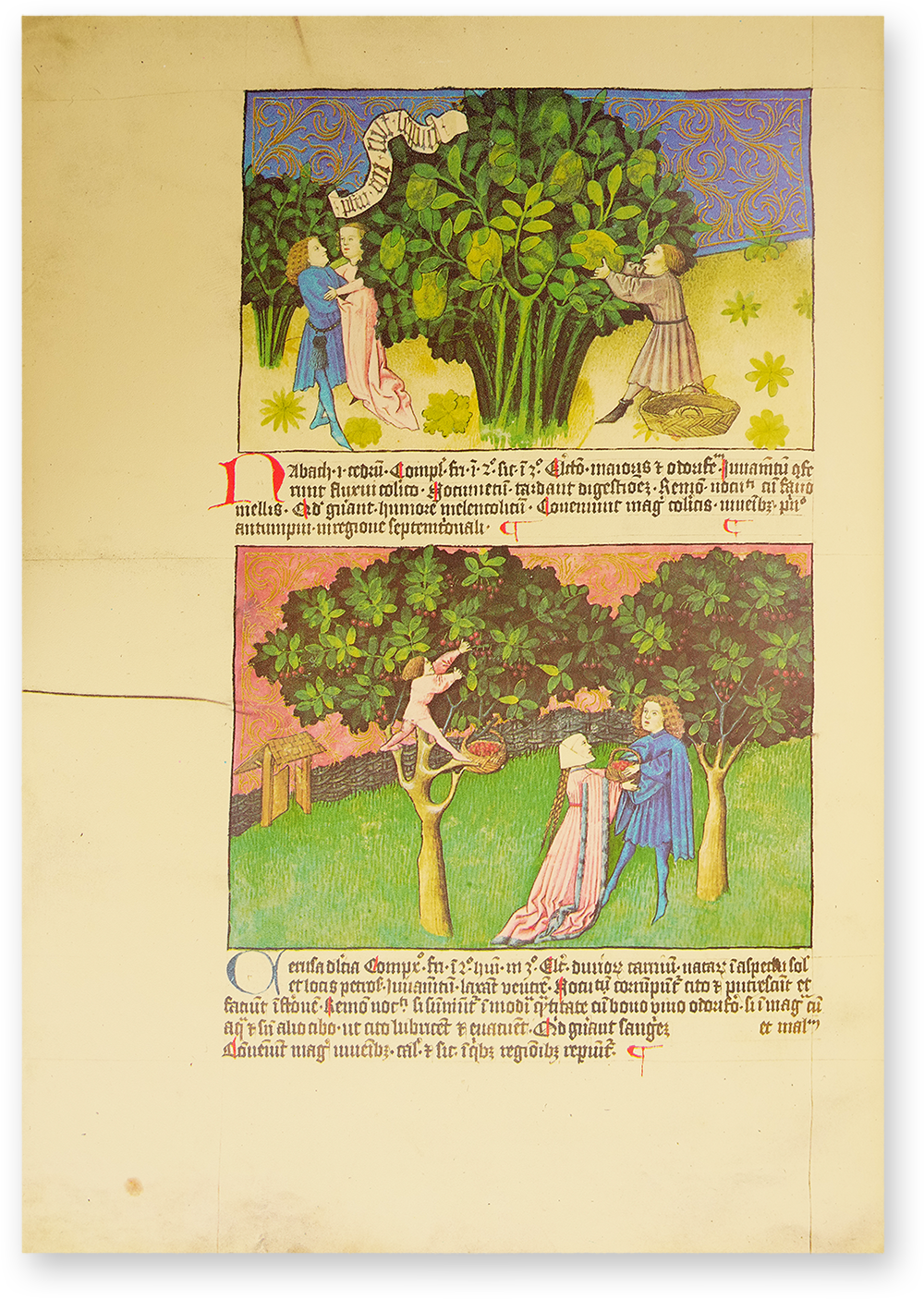 Liber de natura rerum - Codex C-67 Liber de natura rerum - Codex C-67