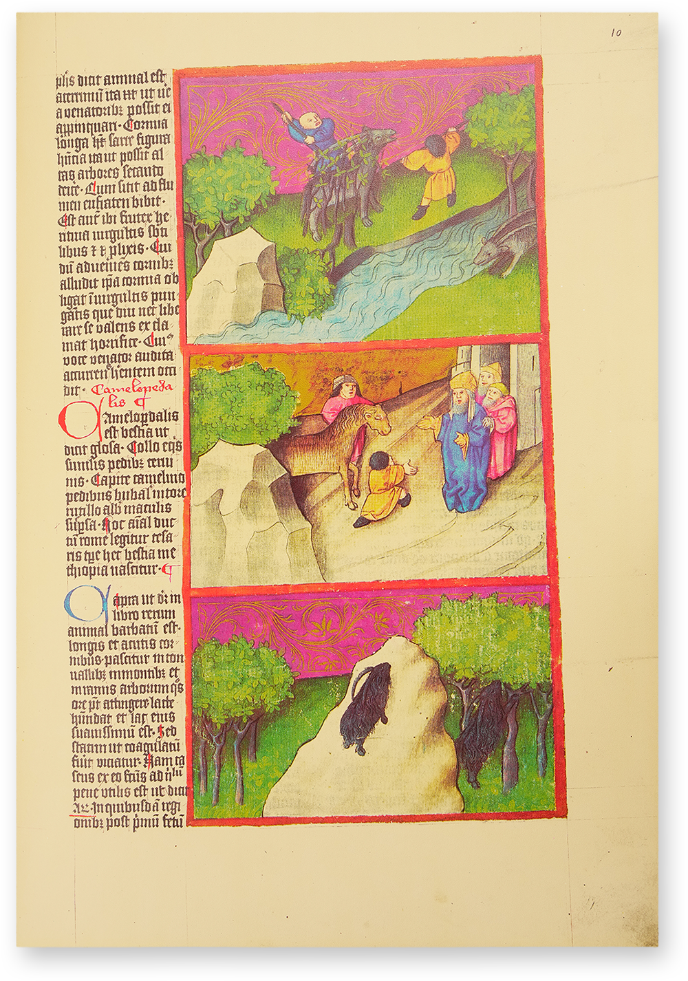 Liber de natura rerum - Codex C-67 Liber de natura rerum - Codex C-67