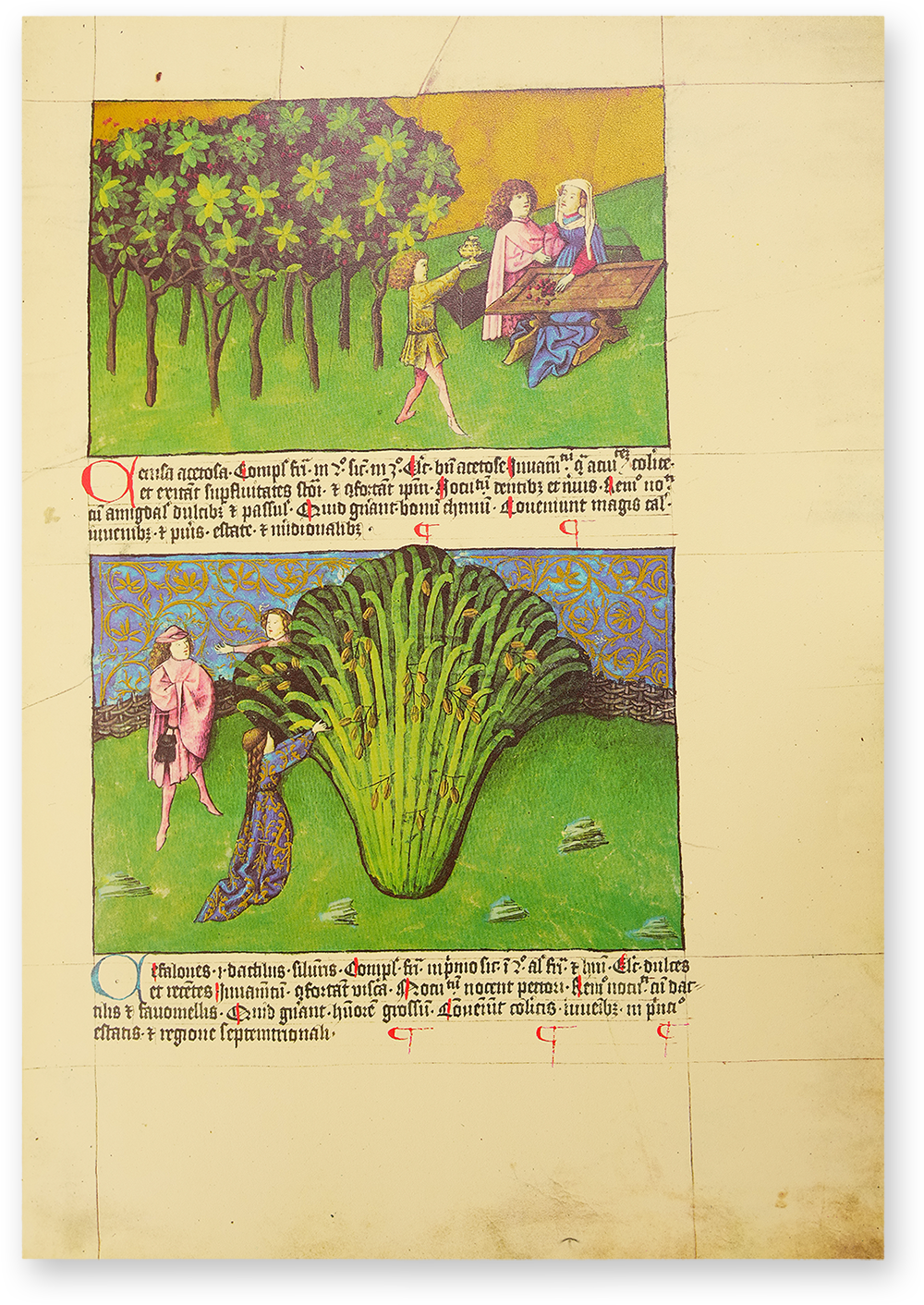 Liber de natura rerum - Codex C-67 Liber de natura rerum - Codex C-67