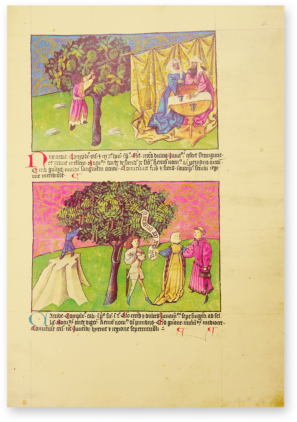 Liber de natura rerum - Codex C-67 Liber de natura rerum - Codex C-67