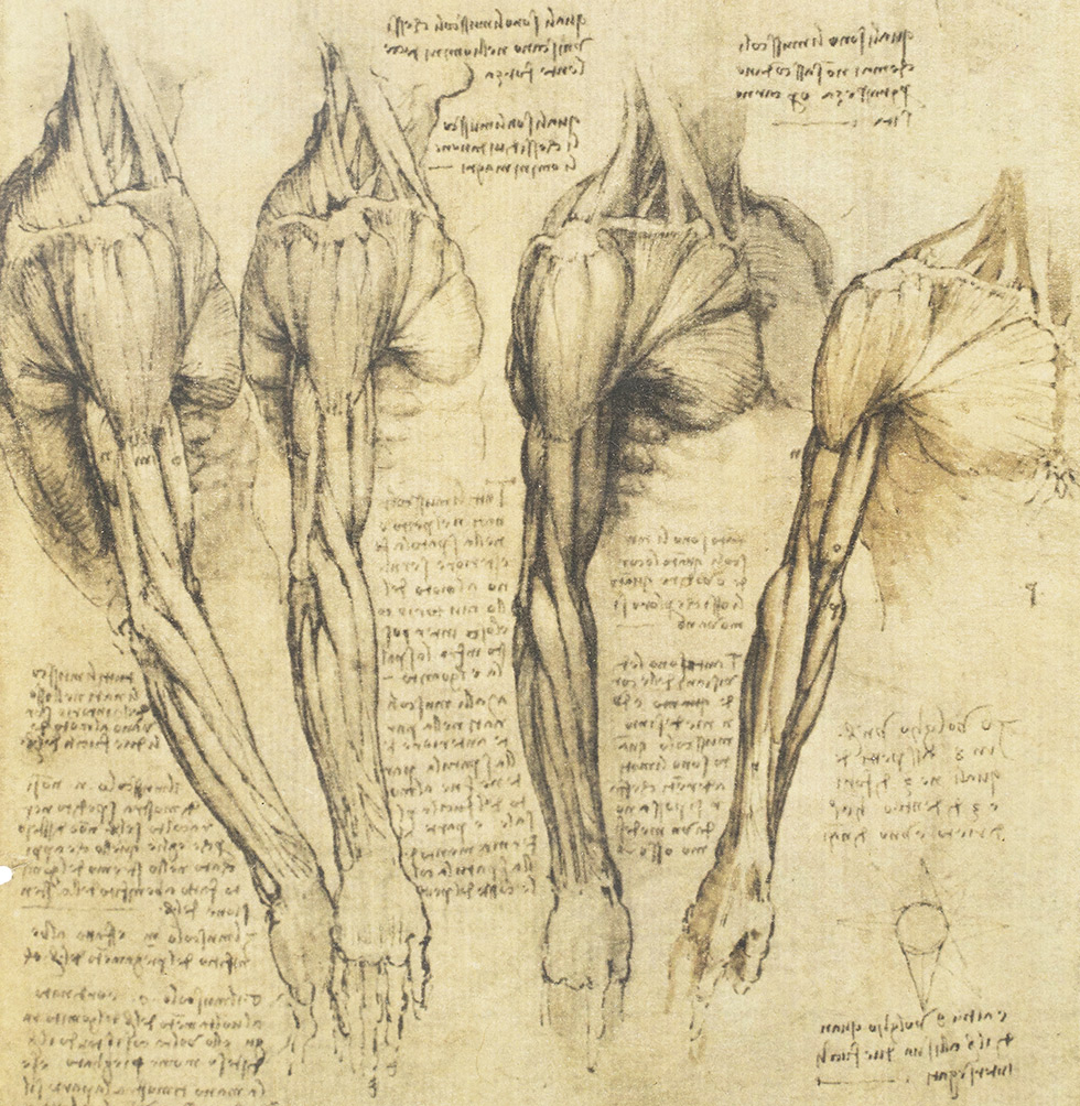 Leonardo da Vinci - Corpus of the Anatomical Studies Leonardo da Vinci - Corpus of the Anatomical Studies
