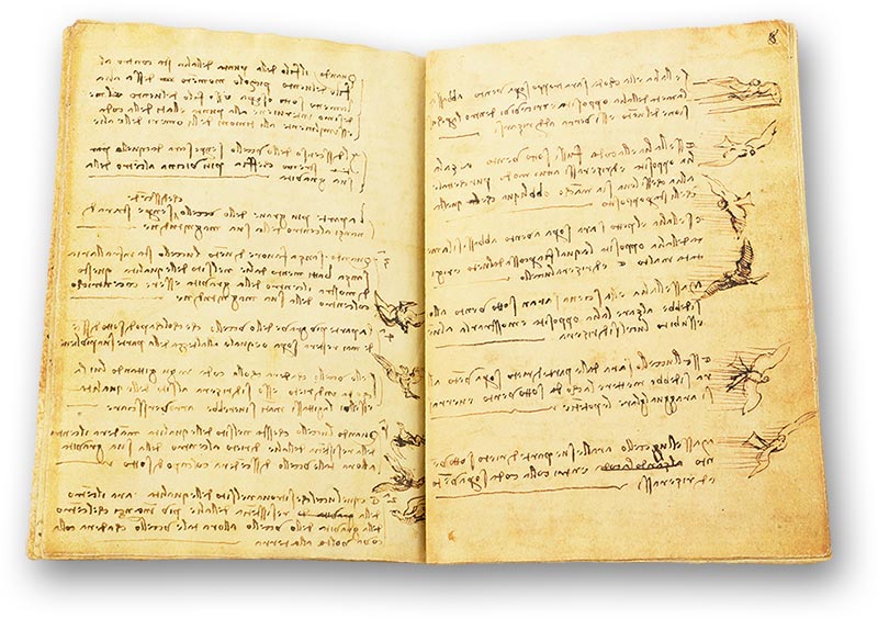 Codex on the Flight of Birds Codex on the Flight of Birds