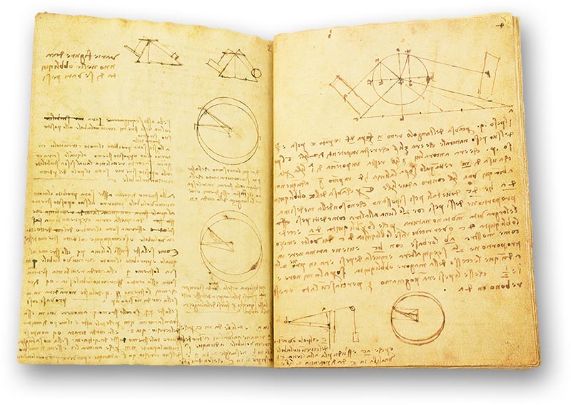 Codex on the Flight of Birds Codex on the Flight of Birds