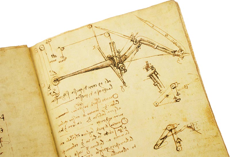 Codex on the Flight of Birds Codex on the Flight of Birds
