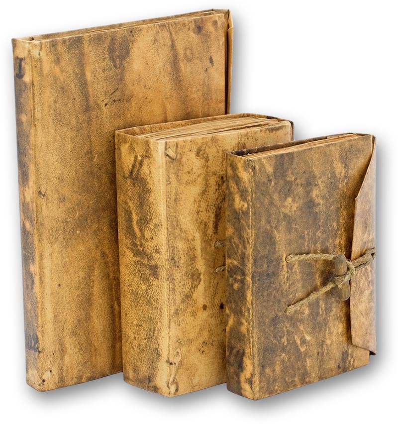 Forster Codices Forster Codices
