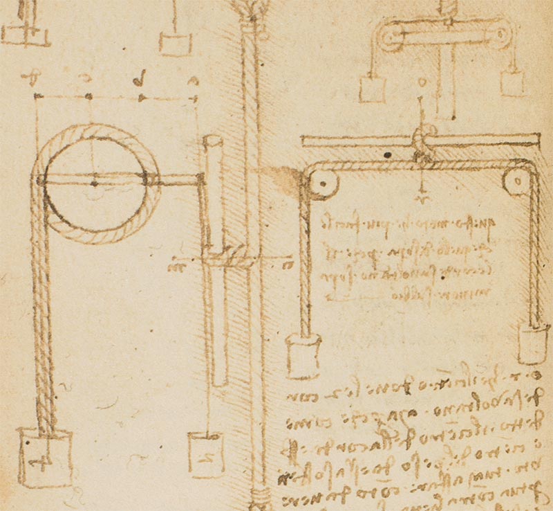 Forster Codices Forster Codices