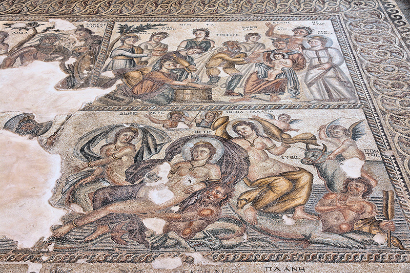 Floor Mosaic from the House of Aion